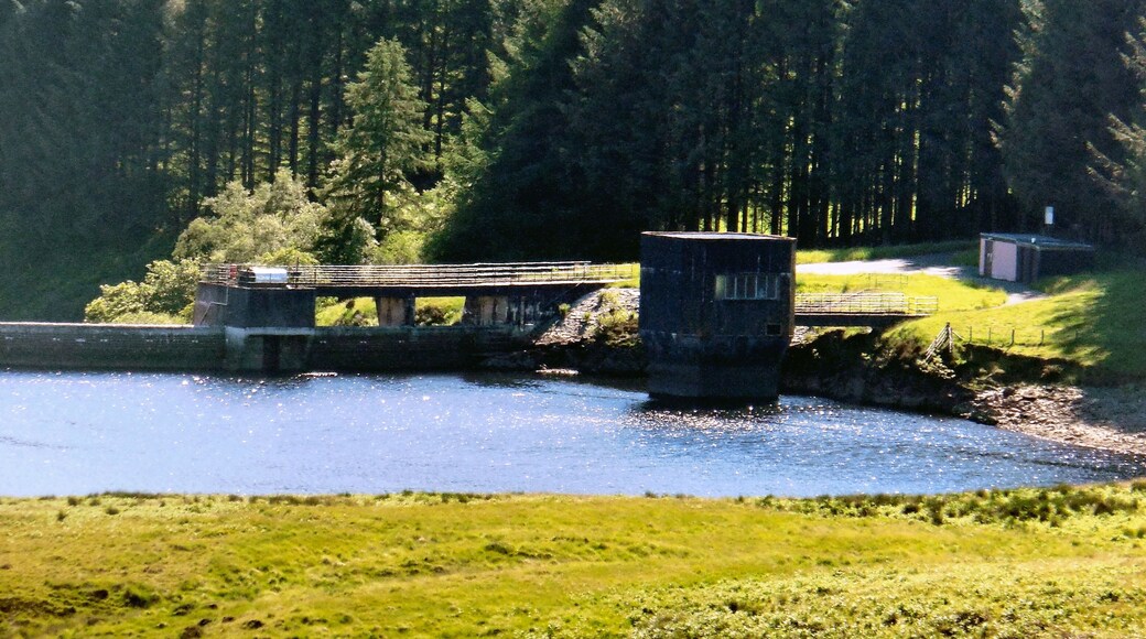 Dinas Reservoir