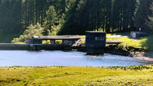Dinas Reservoir
