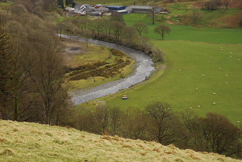 The Ystwyth at Cwm Ystwyth Looking down on the river as it curves around the fields of Dol-chenog farm. Spring is in the air; the gorse on the left bank is beginning to flower, although the trees are still bare.