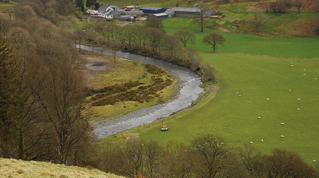 The Ystwyth at Cwm Ystwyth Looking down on the river as it curves around the fields of Dol-chenog farm. Spring is in the air; the gorse on the left bank is beginning to flower, although the trees are still bare.