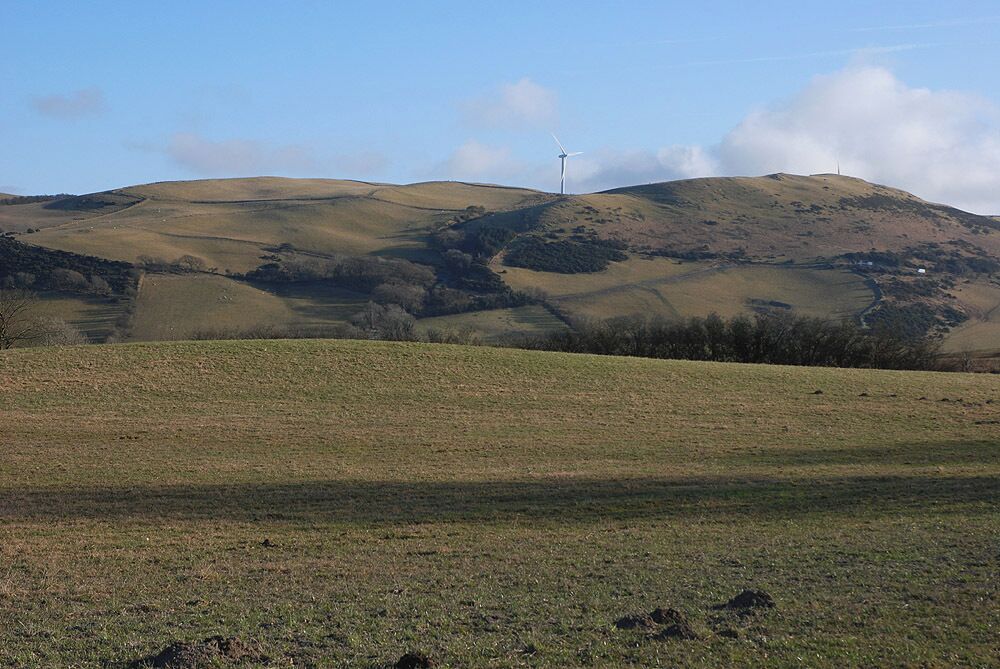 Field near Tynllwyn Grazing land. The edge of the windfarm on Mynydd Bach can be seen in the background.