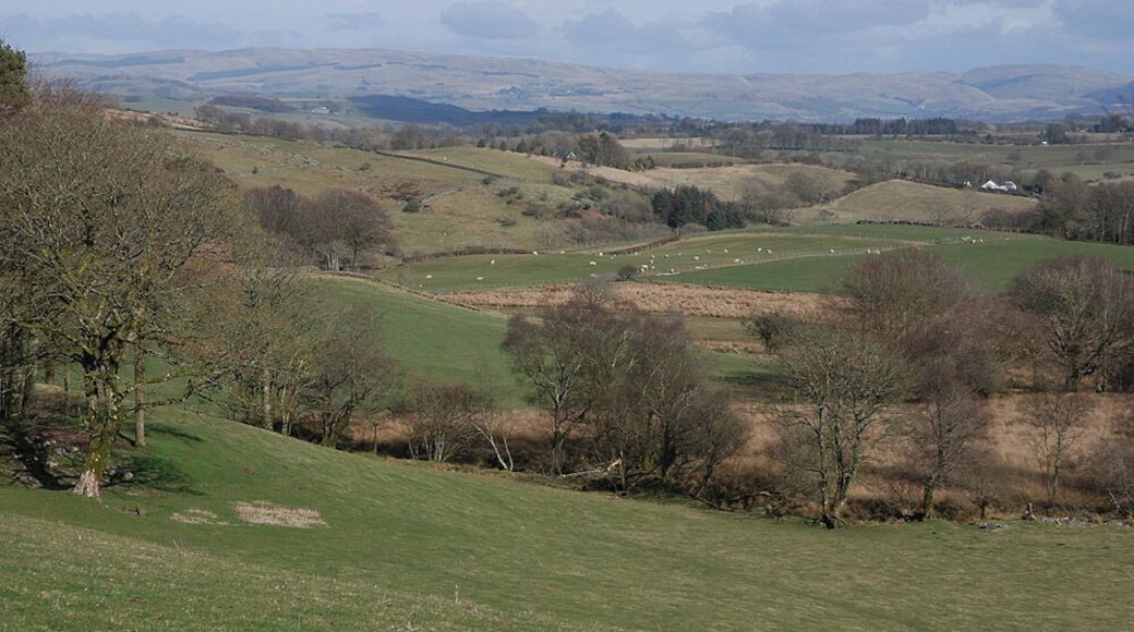 Fields near Bontnewydd Looking across the grazing land which lie above and to the west of the village.