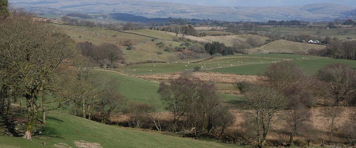 Fields near Bontnewydd Looking across the grazing land which lie above and to the west of the village.