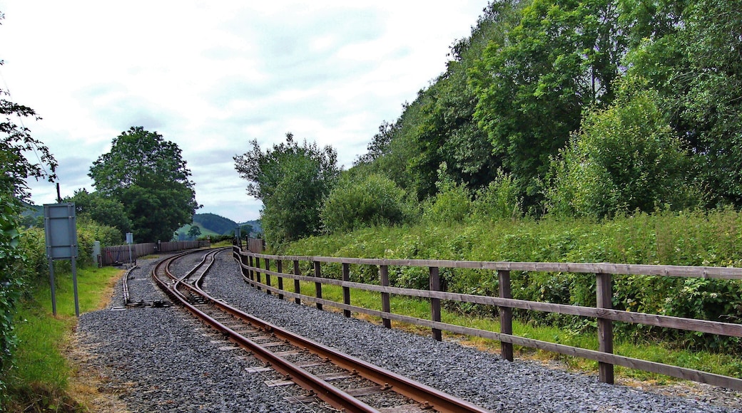 Rheidol Railway