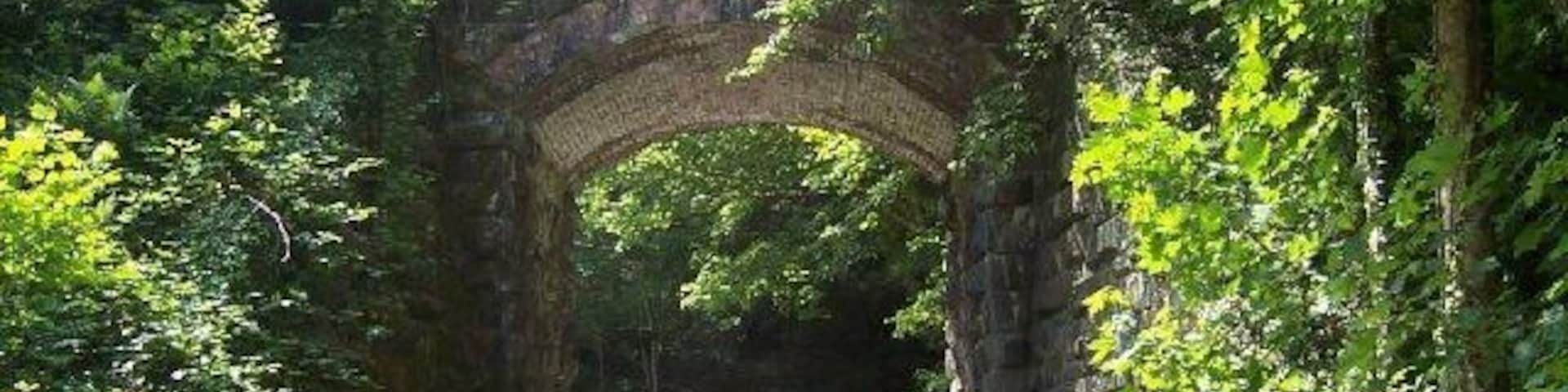Trawsgoed Railway Bridge. A long-abandoned bridge on the former Carmarthen to Aberystwyth railway line marks the only road into the tiny village of Crosswood.