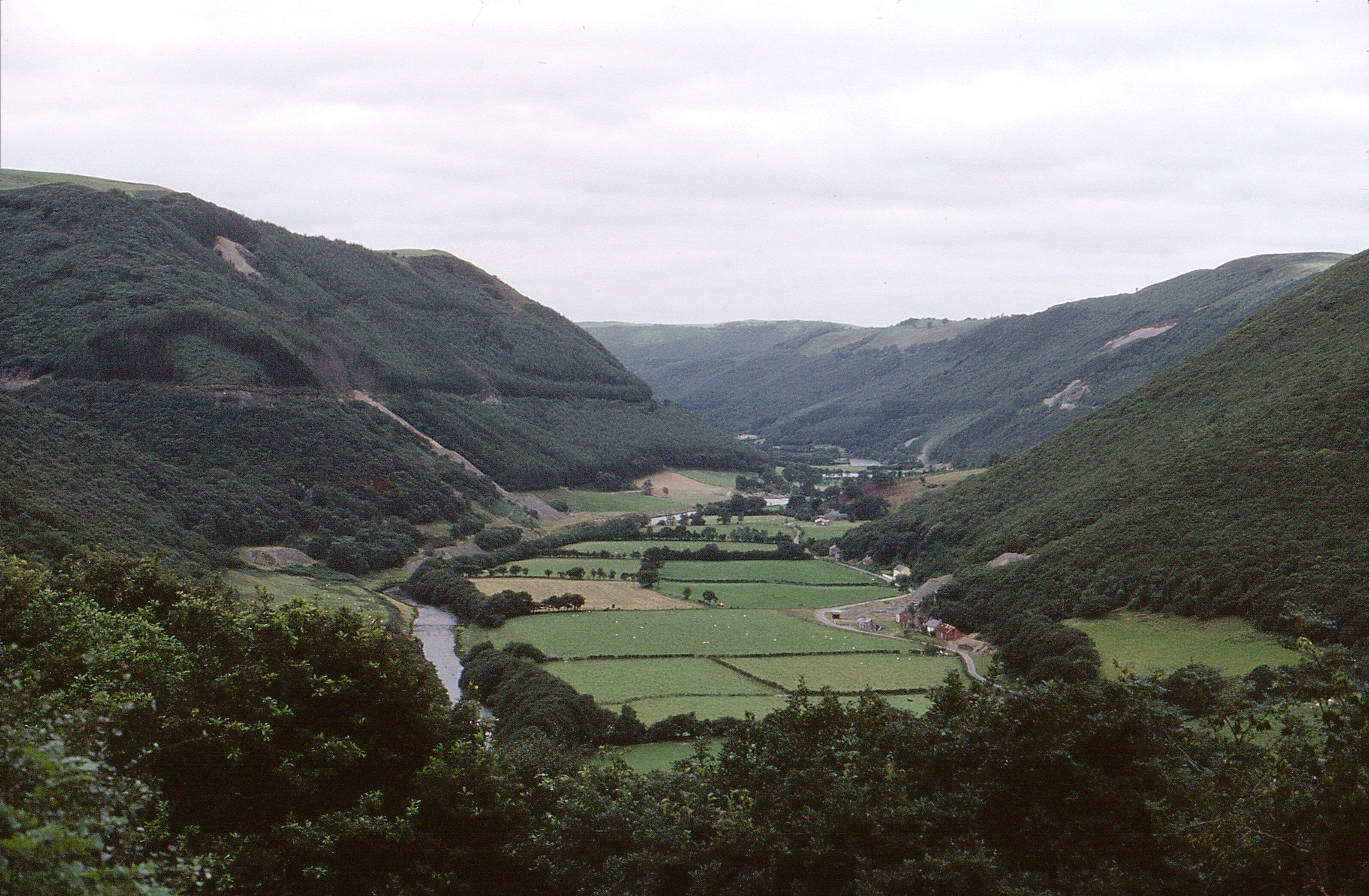 Impressions of The Vale of Rheidol in Wales from the narrow gauge railway. August 1980. Camera: Olympus OM1 35mm SLR. Film: Kodachrome.
