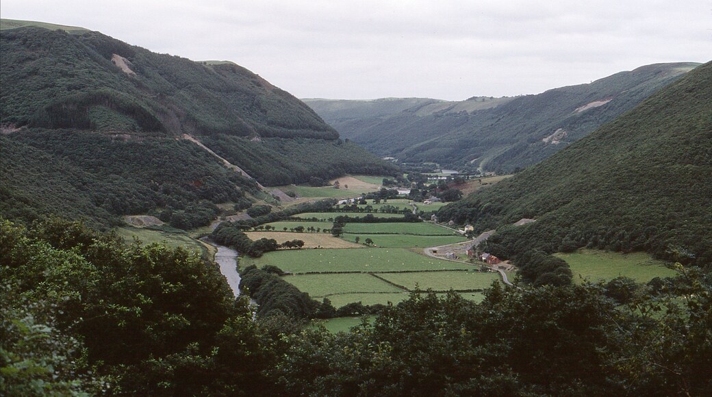 Impressions of The Vale of Rheidol in Wales from the narrow gauge railway. August 1980. Camera: Olympus OM1 35mm SLR. Film: Kodachrome.