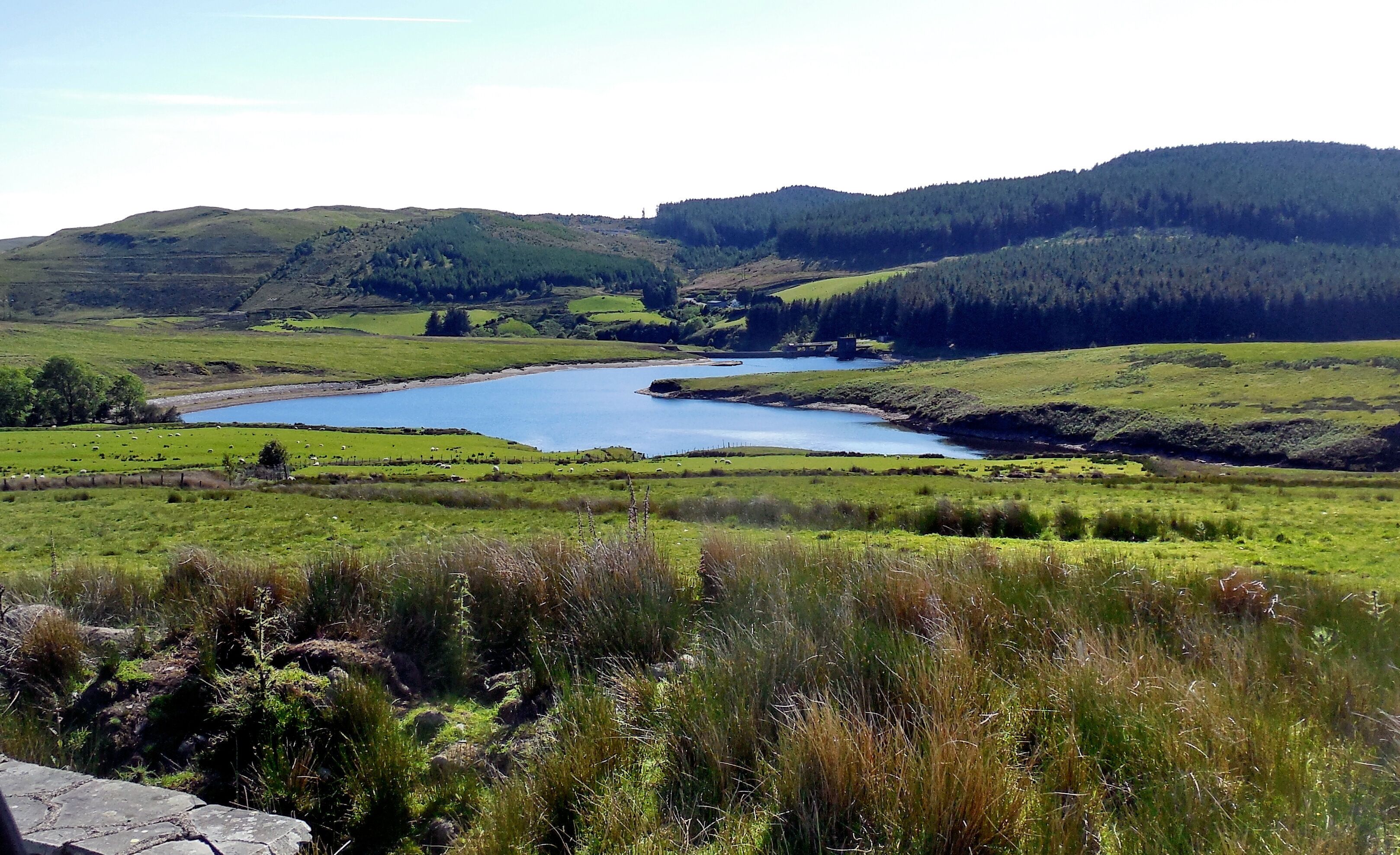 Dinas Reservoir