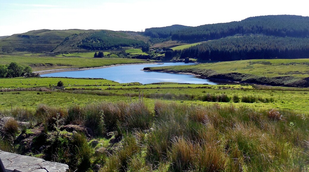 Dinas Reservoir