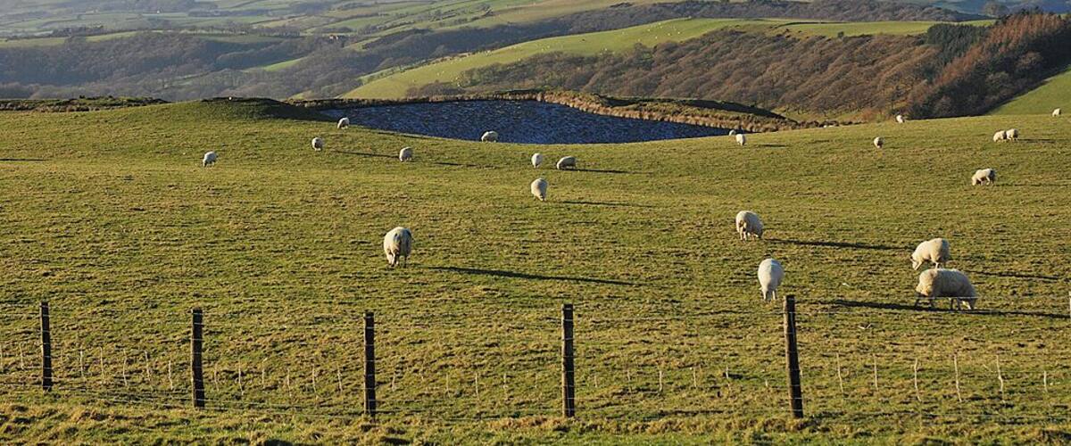 Pond on Banc Blaen Magwr Obviously to some degree of artificial construction, although for what purpose isn't clear.
