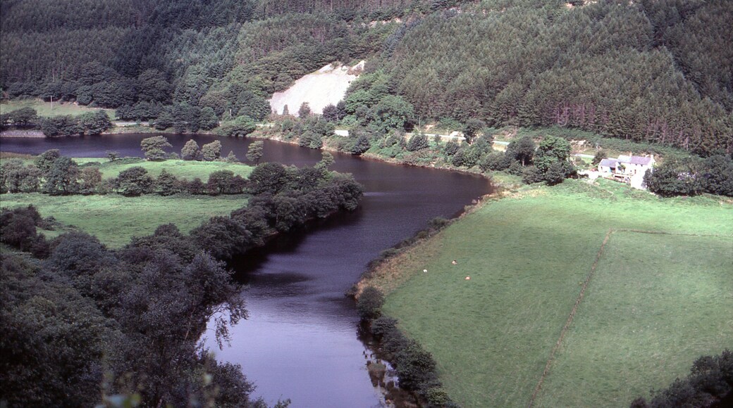 A river winding through a forested valley with a house on a hill.