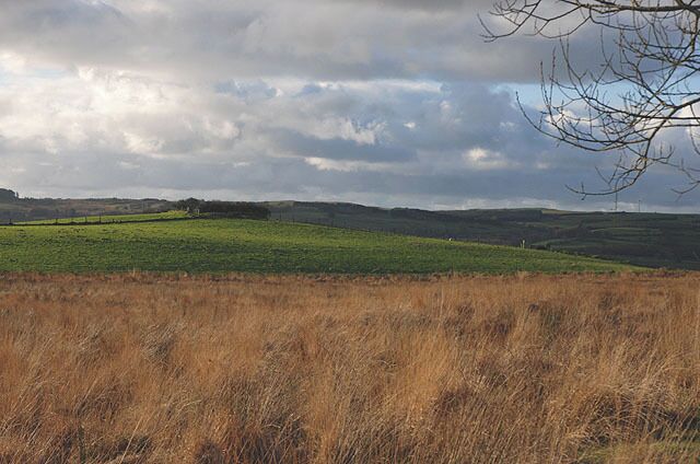 Unimproved marshland south of Eithin Gleision The bridleway shown on the map struggles along the edge of this. The site of the ancient fort of Penycastell lies at the top of the field beyond.