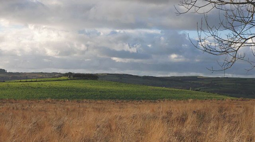 Unimproved marshland south of Eithin Gleision The bridleway shown on the map struggles along the edge of this. The site of the ancient fort of Penycastell lies at the top of the field beyond.