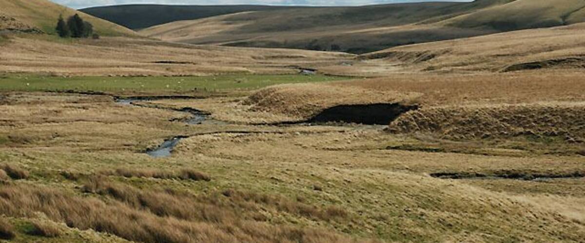 Upper Elan valley A nice field in the middle, some good grazing on some hillsides, the rest on the tussocky and damp side. But you get some great vistas on this route.