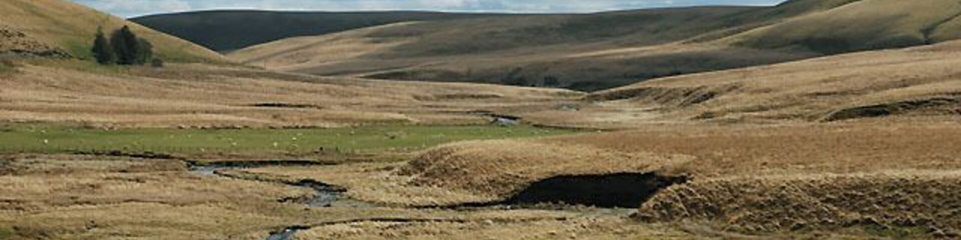 Upper Elan valley A nice field in the middle, some good grazing on some hillsides, the rest on the tussocky and damp side. But you get some great vistas on this route.