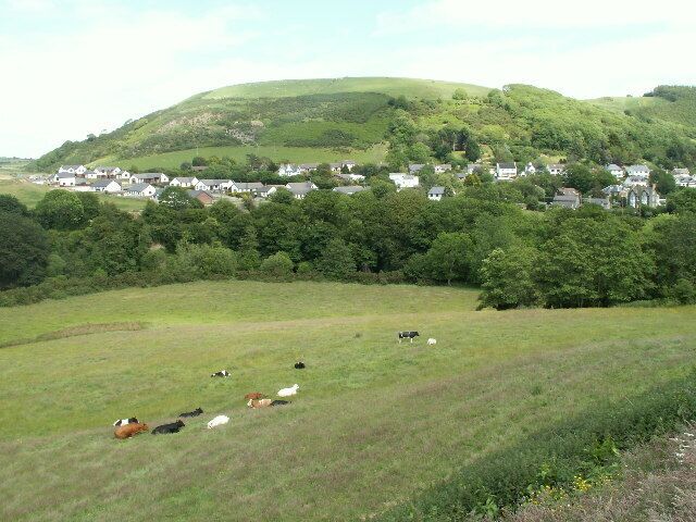 A grassy field with cows grazing, surrounded by trees and a village on a hill in the background.