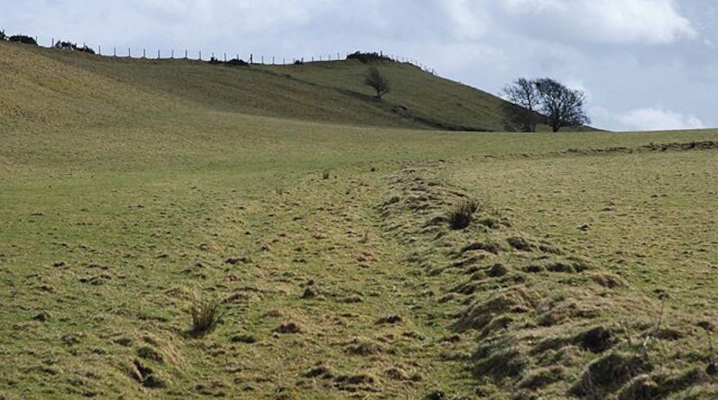 Field west of the A485 Lying in a bit of a depression, this bit looks well drained but the bit to the north of the minor road is marshy. The remains of a hedge bank can be seen.