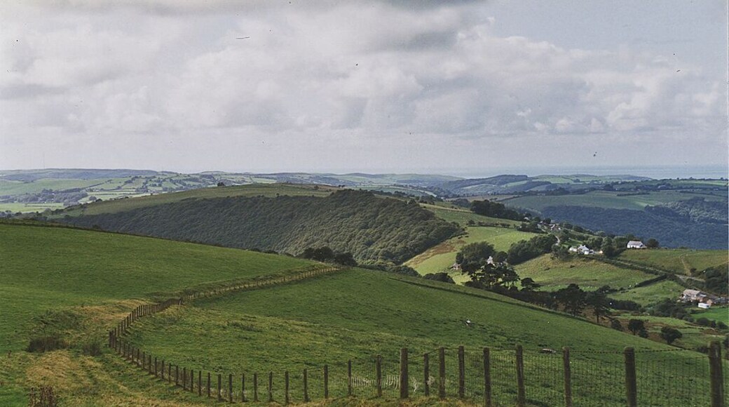 Bridleway east of Pisgah This follows the line of an ancient through route heading for Cwm Ystwyth.