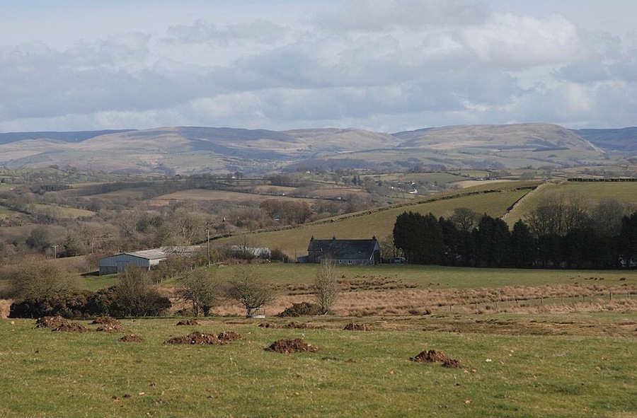 Field near Brynwichell With some active moles. The Cambrian Mountains can be seen in the distance.
