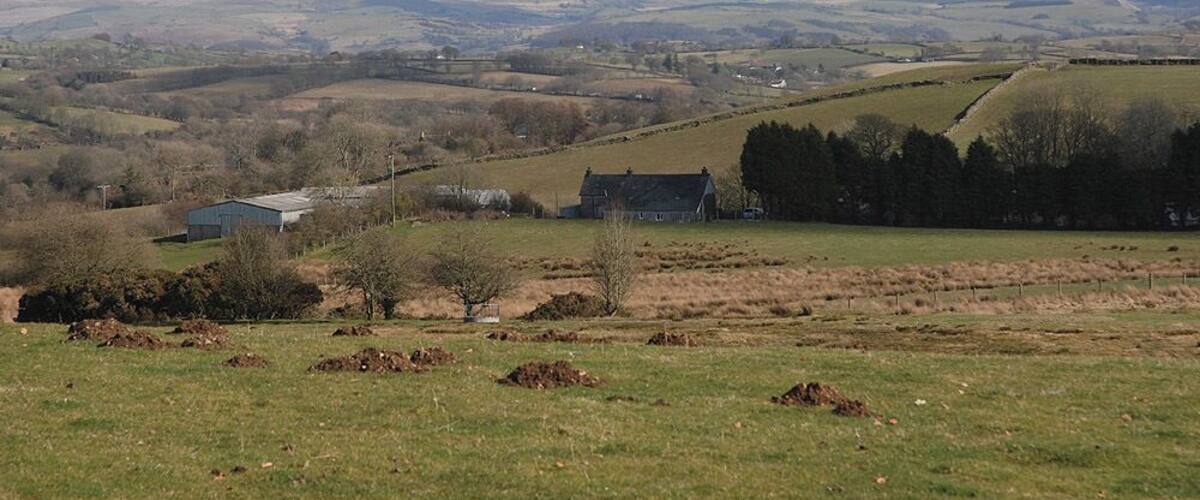 Rolling hills, a small house, and a distant building.