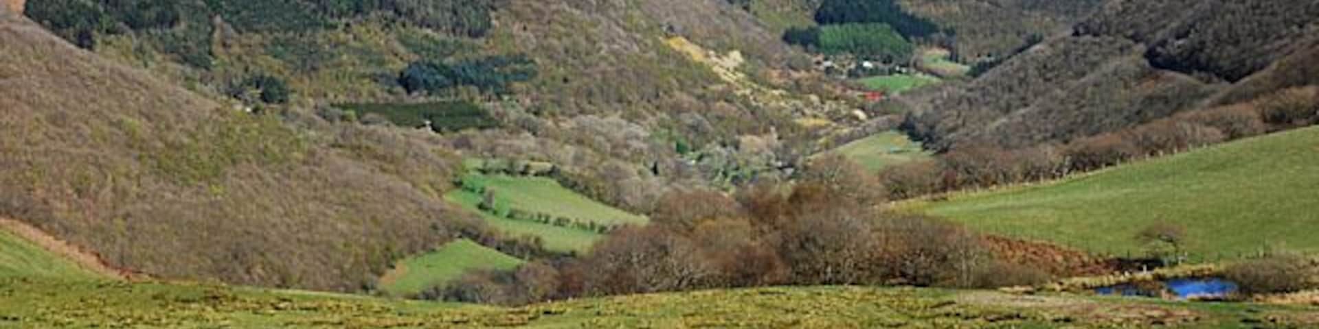 Fields above Cwm Rheidol Moderately sloping fields here just below the A4120; out of sight, wooded slopes drop steeply to the floor of the cwm. Two footpaths pass that way; one is very steep, the other even steeper.