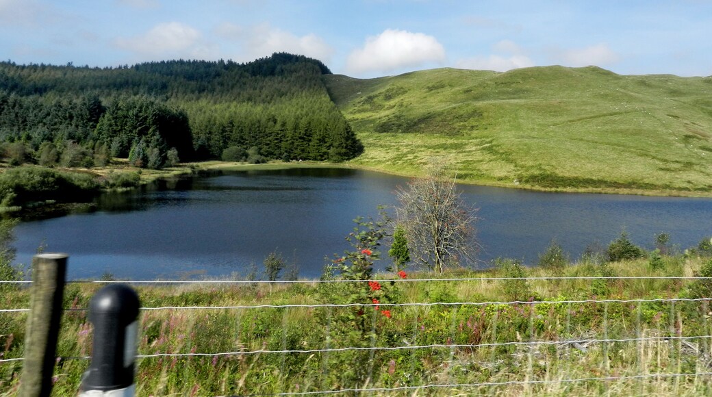 A lake surrounded by hills and a forest.