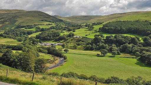 A view of Cwmystwyth looking across the only significant flat area of the cwm to be found before the river reaches maturity near Trawscoed some 6 miles further west. Beyond, steep slopes rise to the Elenydd moors. Opposite is the cwm of the Nant Milwyn, at the head of which is the small but distinctive hill of Domen Milwyn.