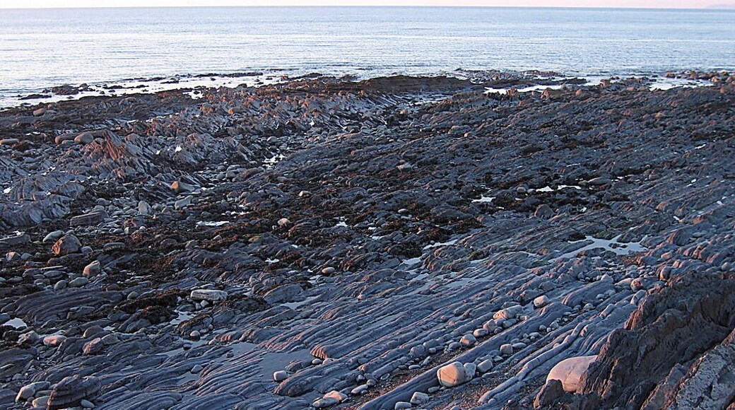Wave-cut platform below Allt Wen Alternating hard and soft layers have been folded up vertically and eroded by the tides, resulting in a regular ripple pattern at the surface. Allt Wen, the northern end of the coastal cliff south of Aberystwyth, is a remarkable geological site. A number of micro-folds only a few metres across with nearly parallel vertical limbs have been exposed on a wave-cut platform at the base of the cliff. The exact sequence of events that have taken place here is still debated, but it is thought that during the Caledonian orogeny 400Ma ago, freshly deposited layers of sediment became pressurised and folded before they were fully lithified and thus more deformable. There are also quartz veins parallel with the bedding in some places. It is thought that they were pressed into the fresh sediment before the folding took place. For more details, see the Geological Conservation Review's site report http://www.thegcr.org.uk/Sites/GCR_v03_C04_Site2318.htm .