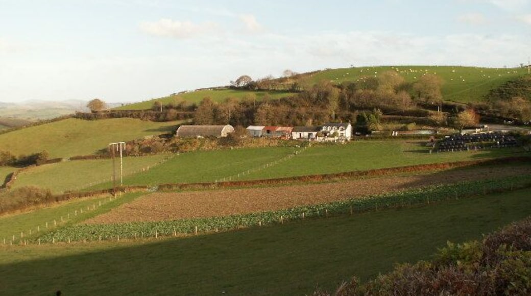 Pant-gwyn, Moriah. Pant-gwyn farm, W of Moriah on the A4120