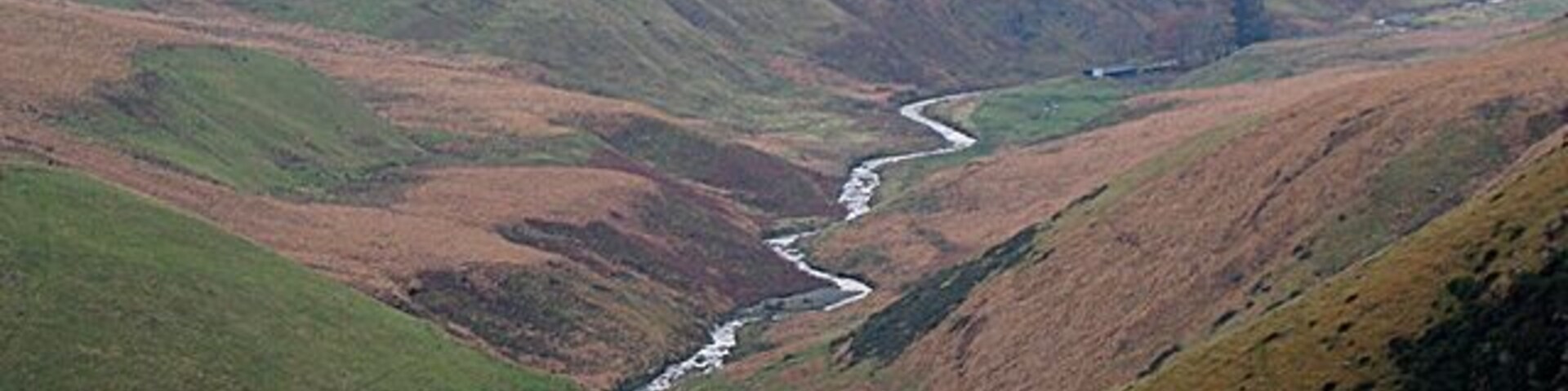 Afon Diliw. The Afon Diliw has dug a deep trench into the hillside of yr Allt. It flows into the Afon Ystwyth just outside the picture (to the left, west). The southeastern sector of Cefn Croes wind power station 519765 can be seen on the hill above. Much of the hilltop forest has been removed to reduce wind turbulence for the turbines.