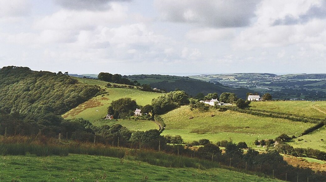 Valley of the Nant y Gledryd near Bwlch Heble Looking across the valley towards the bwlch, which forms a saddle between this valley and Dyffryn Rheidol. The Nant y Gledryd eventually drains into the Afon Ystwyth. Taken from the bridleway running east.