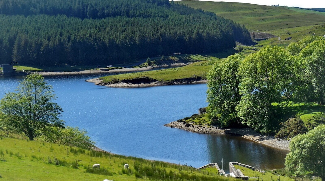 Dinas Reservoir