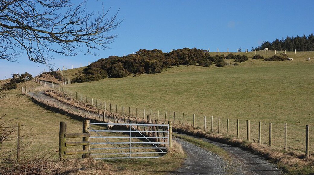 Track to Pwlldrainllwyn farm