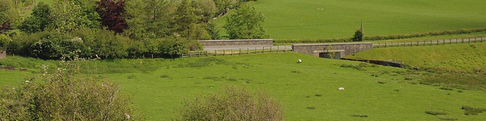 Fields on the north side of Erw Barfau Mainly good grazing, with the odd plantation and old mine working mixed in. In the foreground is the bridge carrying the A4120 over the Nant Ysbyty Cynfyn.