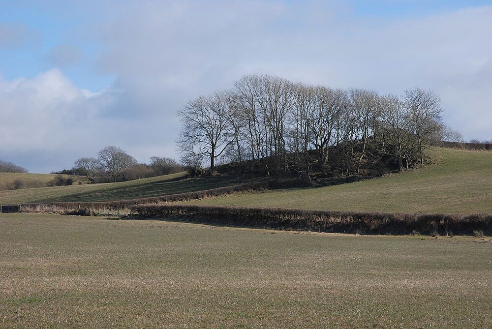 Fields near Cwrtycwm Grazing land, the lack of green betraying a hard winter.