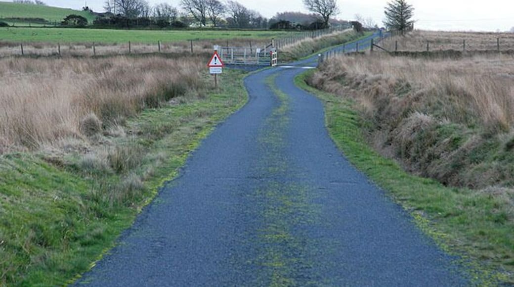 Cattle grid on Comins Pen-y-banc Lying on the boundary of the open-access common land.