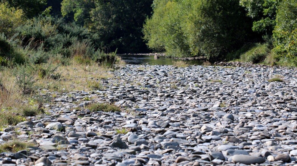 Grogwynion nature reserve, Ceredigon, Wales