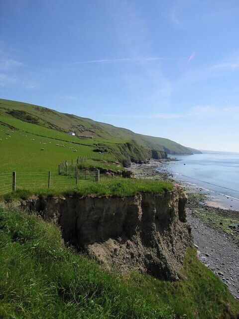 View south along the Cardigan Bay coast. Grassy headland all the way, with cliffs between 30 and 80 metres high.