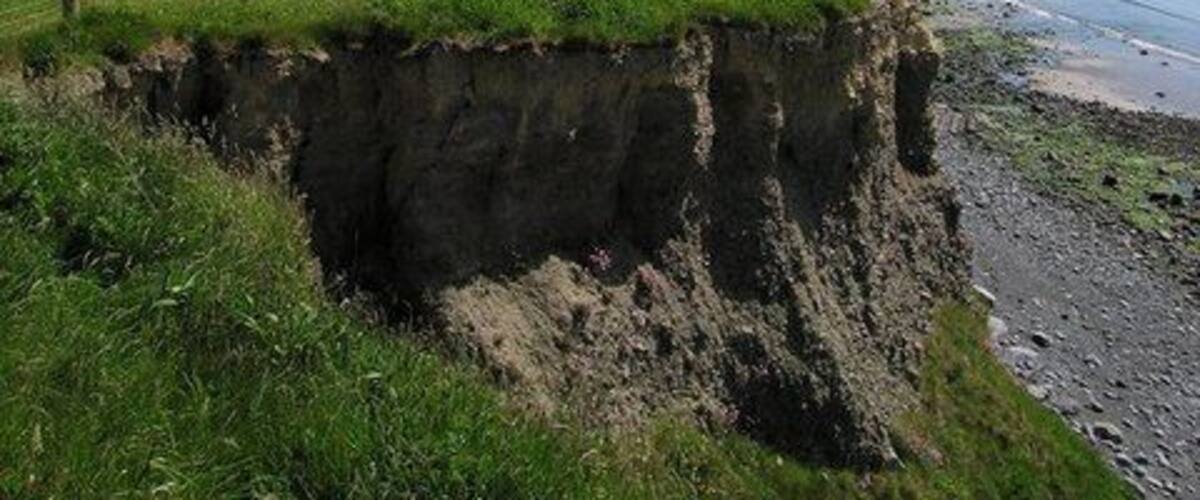 View south along the Cardigan Bay coast. Grassy headland all the way, with cliffs between 30 and 80 metres high.