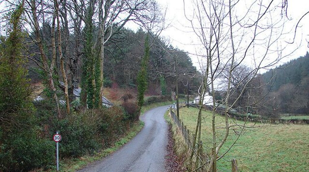 Lane at Gwarcwm The lane through the valley of Nant Pant-yr-haidd towards Brynafan.