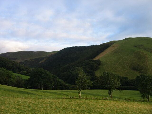 A forest on the side of Cwm Newyddion called Allt Cordia.