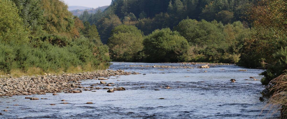 A river flowing through a forested valley with rocky banks and dense trees.