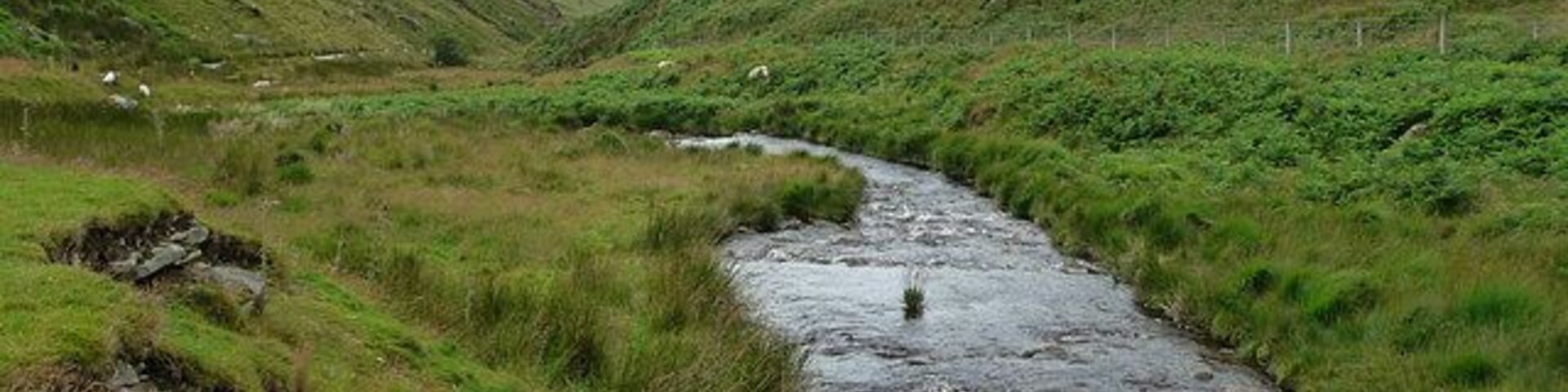 Afon Ystwyth looking towards Cwm Ystwyth