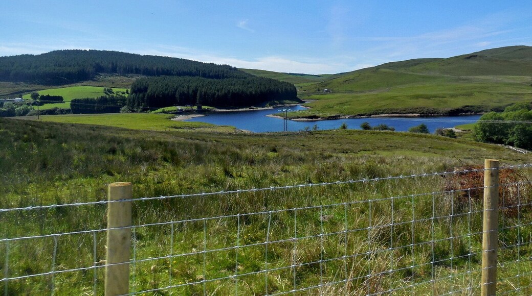 Dinas Reservoir