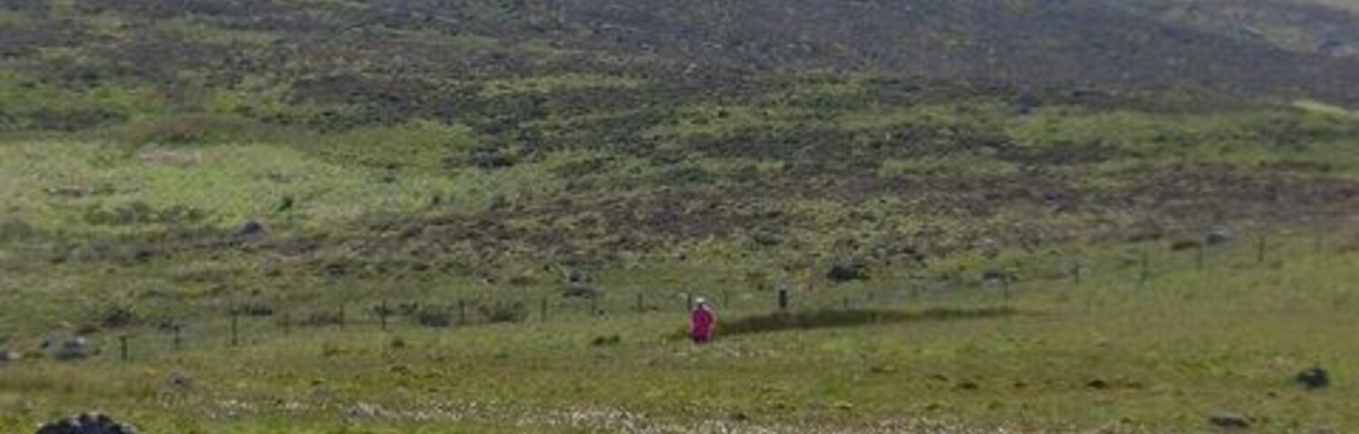 Un campo cubierto de hierba con una persona vestida de rojo, una colina al fondo y rocas dispersas.