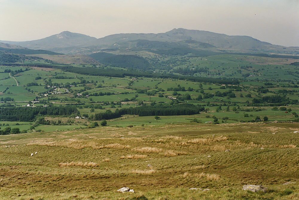 Slopes below Moel Ddu Easy slopes at this point, just before they steepen for the climb to Aran Benllyn. They lead down to Dyffryn Dyfrdwy, the main route to the west. Arenig Fawr is the distant peak on the right.
