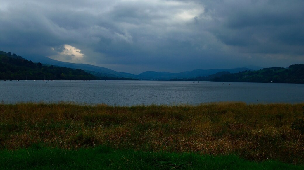 Only decent photo i got of Bala Lake
