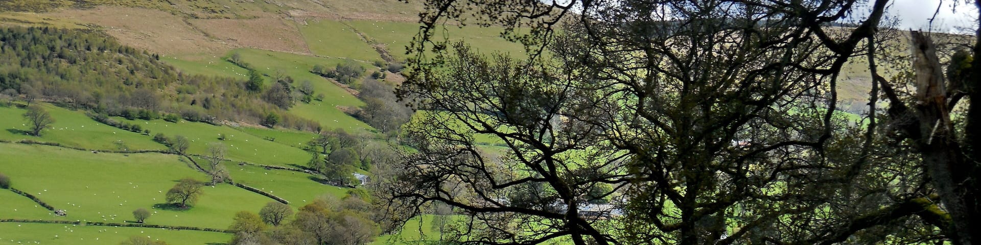 A lake surrounded by green hills and a tree.