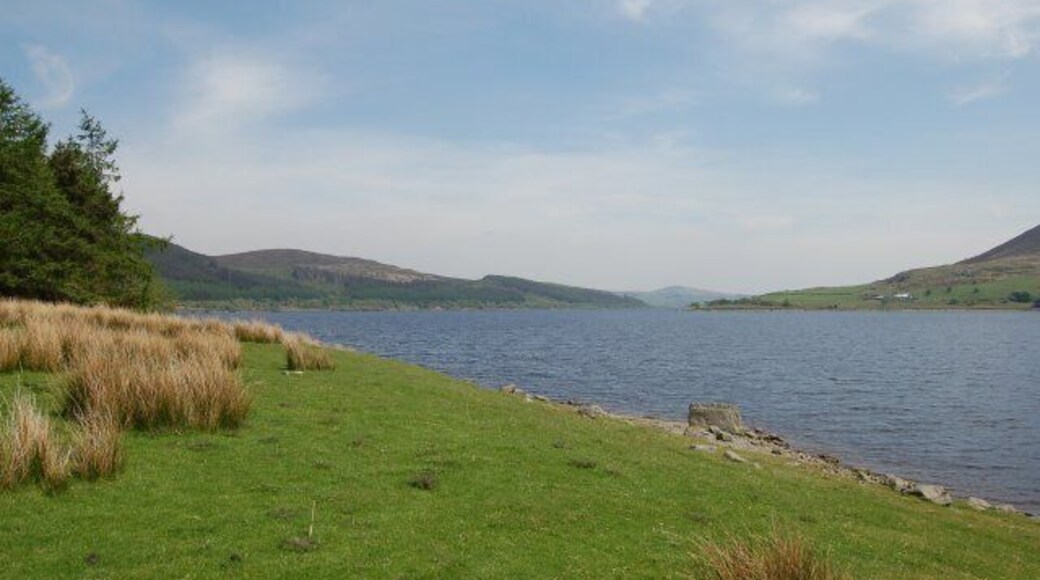 Llyn Celyn looking east. Taken from the western end of the lake.