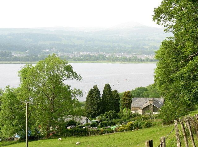 A lake with boats, a house, and a sheep in a green landscape.